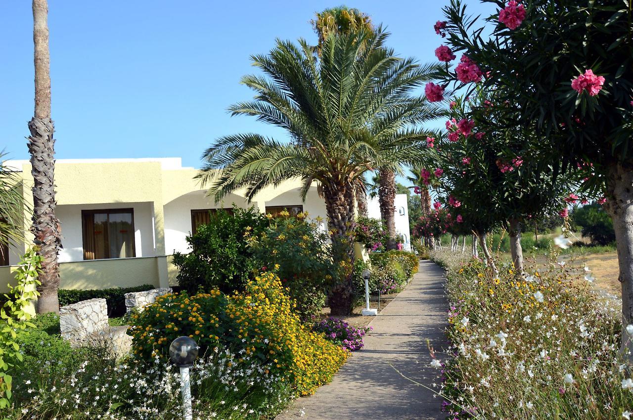 Muses Hotel Faliraki Exterior photo